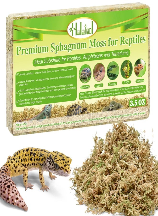 Halatool 3.5OZ Natural Sphagnum Moss for Reptiles Premium Reptile Moss Ideal Terrarium Moss for Box Turtles Hermit Crabs Leopard Gecko Snakes and Hamsters Enclosure - Image 1